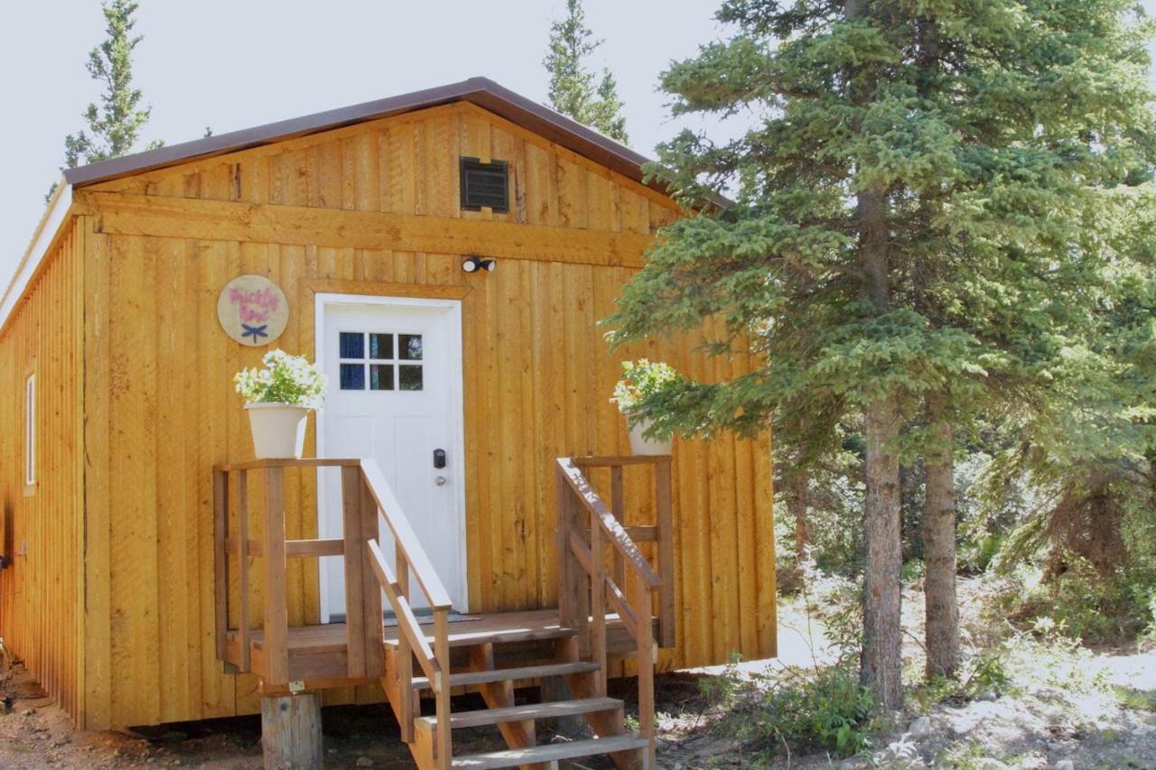 Arctic Dragonfly Inn 힐리 외부 사진